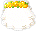 Wedding veil