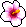Korean Flower Petal