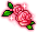 Spring Rose