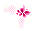 Pink Floral Decoration
