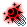 Damien Hairpin