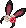Elegant Rabbit