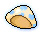 Fresh Mushroom Cap