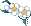 White Plum Blossoms