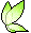 Green Nymph Wing