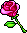 Romantic Rose