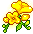 Freesia Blossom
