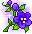 Violet Blossom