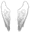Celestial Wings