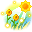 Sunflower Garden Cape