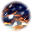 Snowfield Blizzard