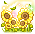 Golden Sunflower Cape
