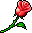 Hyper-sized Red Rose