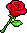 Red Valentine Rose