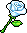 White Valentine Rose