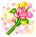 Flor Fiesta