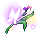 Sage Realm Blossom