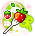 Strawberry Fork