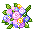 Fresher than Flowers Bouquet