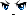 Aran Face