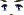 Foxy Eyes Face