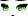 Lotus Face