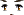 Foxy Eyes Face