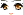 Cygnus Face