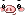 Piggy Face