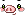 Piggy Face