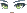 Time-Lashed Wanderer Face