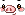 Piggy Face