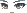 Time-Lashed Wanderer Face