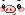 Piggy Face