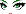 Terrible Tornado Face