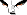 Legendary Face