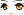 Cygnus Face
