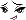 Nue Face