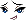Nue Face