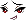 Nue Face