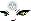 Naricain Face
