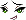Nue Face