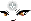 Naricain Face