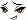Nue Face