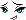 Nue Face