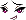 Nue Face