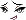 Nue Face