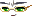 Will Face