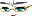 Will Face
