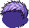 Black Fuzz, purple